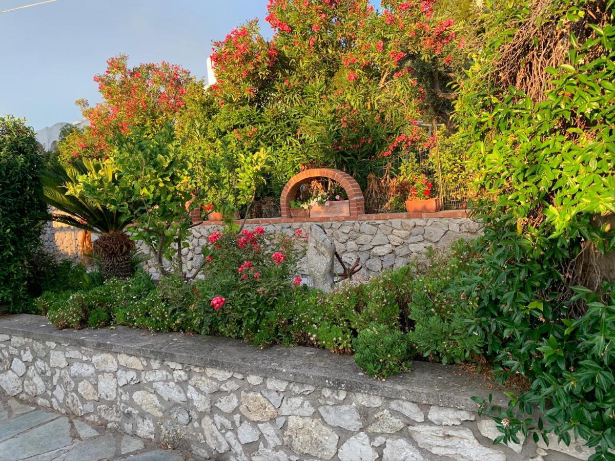 Il Merlo Anacapri  Exteriör bild