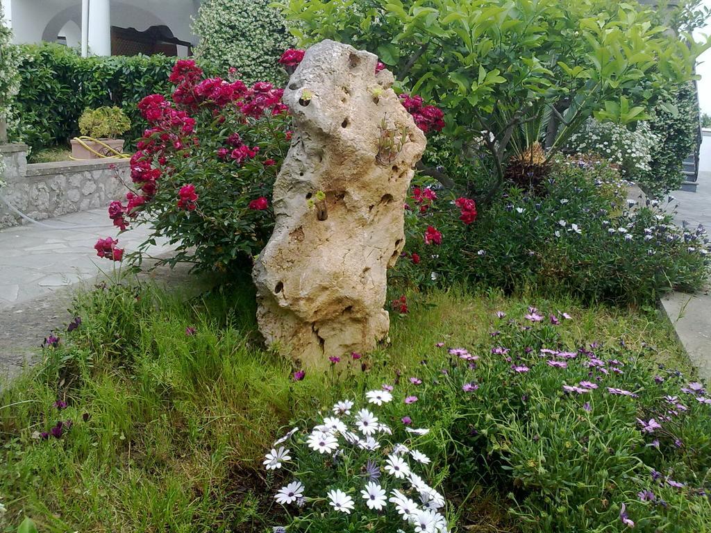 Il Merlo Anacapri  Exteriör bild