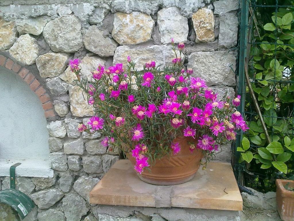 Il Merlo Anacapri  Exteriör bild
