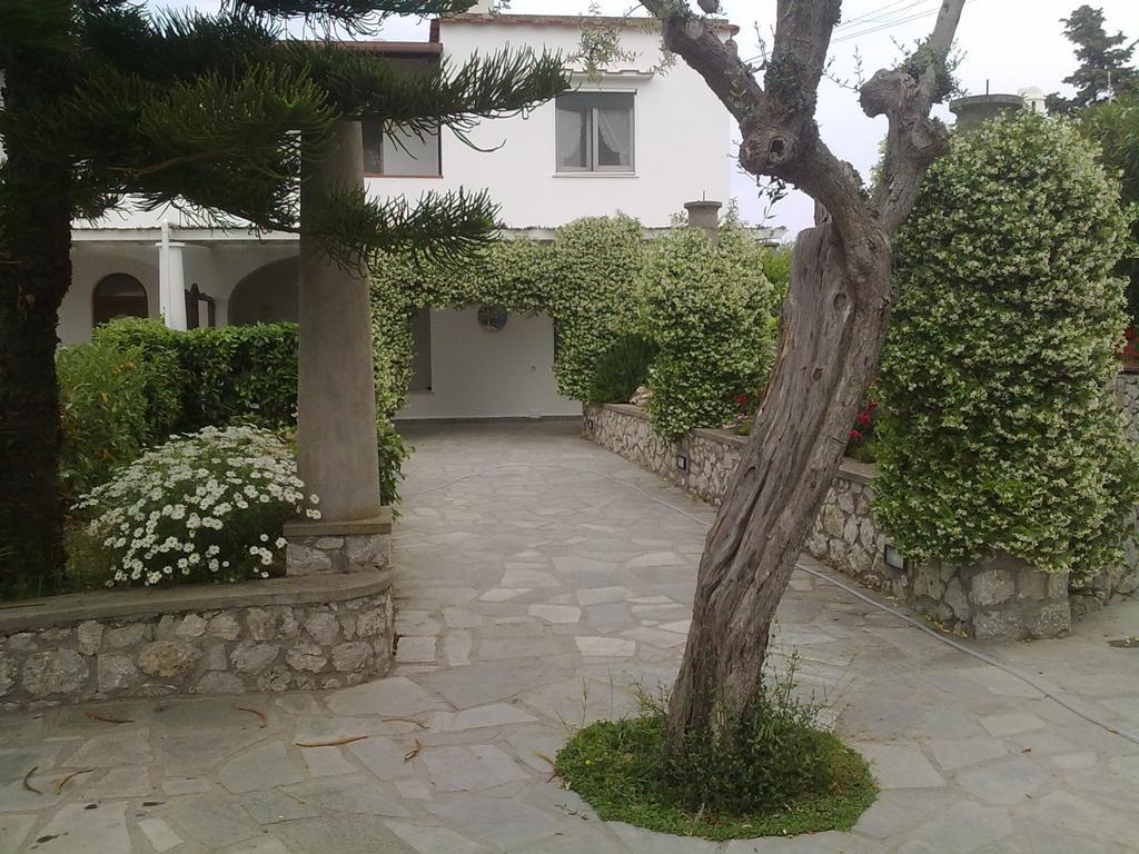 Il Merlo Anacapri  Exteriör bild