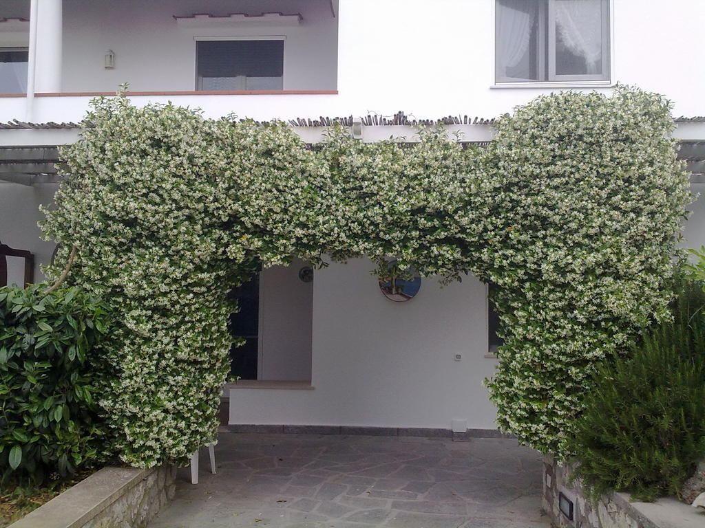 Il Merlo Anacapri  Exteriör bild